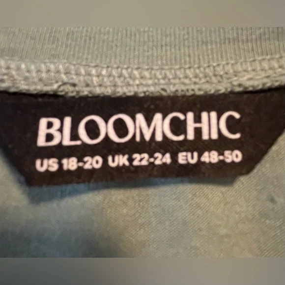 BloomChic Mint Green Women’s Tunic with Ruffled Sleeves - Picture 7 of 9